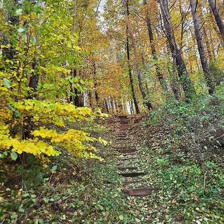 Prázdninový dům Radunia Stężyca