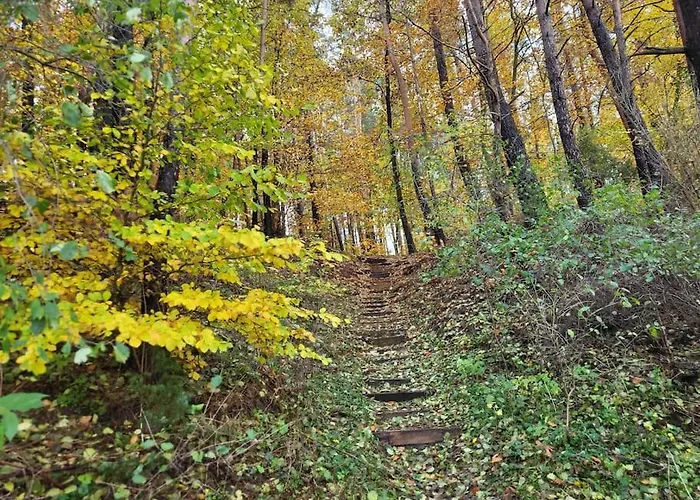 度假居 Radunia Stężyca